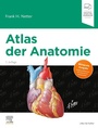 Bild: Atlas der Anatomie - Urban & Fischer