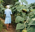 Cover: Sheron Rupp - Kehrer Verlag