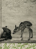 Cover: Alain Laboile - Kehrer Verlag