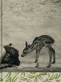 Enlarge image Cover: Alain Laboile - Kehrer Verlag