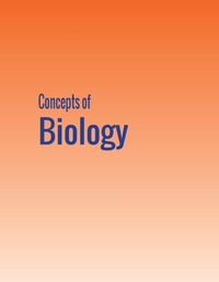 Enlarge image Cover: Concepts of Biology - 12th Media Services