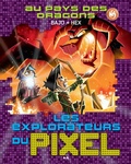 Cover: Au pays des dragons - Editions AdA