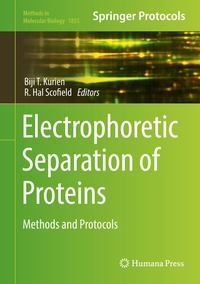Abbildung von: Electrophoretic Separation of Proteins - Humana