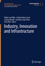 Cover: Industry, Innovation and Infrastructure - Springer