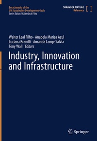Enlarge image Cover: Industry, Innovation and Infrastructure - Springer