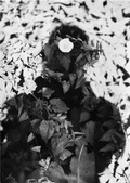 Cover: Jochen Lempert. Relaci&oacute;n - K&ouml;nig, Walther