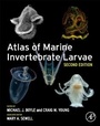 Cover: Atlas of Marine Invertebrate Larvae - Academic Press