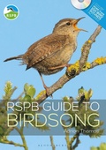 Cover: RSPB Guide to Birdsong - Bloomsbury Wildlife