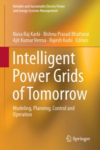 Enlarge image Cover: Intelligent Power Grids of Tomorrow - Springer