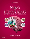 Bild: Nolte's The Human Brain in Photographs and Diagrams E-Book - Elsevier