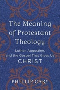 Cover: The Meaning of Protestant Theology - Luther, Augustine, and the Gospel That Gives Us Christ - Baker Academic, Div of Baker Publishing Group