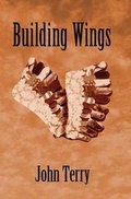 Cover: Building Wings - City Chameleon