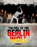 Cover: The Fall of the Berlin Wall - Wayland