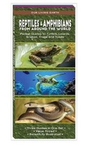 Cover: Reptiles & Amphibians from Around the World - Waterford Press Ltd