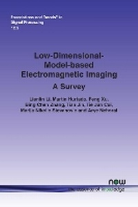 Enlarge image Cover: Low-Dimensional-Model-based Electromagnetic Imaging - now publishers Inc