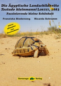 Abbildung von: Die Ägyptische Landschildkröte Testudo kleinmanni Lortet, 1883 - Tartaruga-Verlag