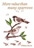 Cover: More Value Than Many Sparrows - Data Tech D.T.P.