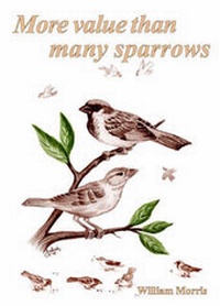 Enlarge image Cover: More Value Than Many Sparrows - Data Tech D.T.P.