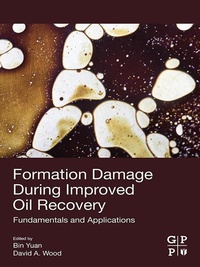 Enlarge image Cover: Formation Damage during Improved Oil Recovery - Gulf Professional Publishing