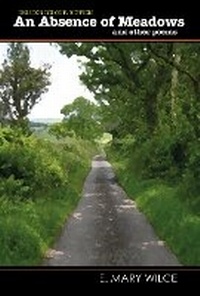 Enlarge image Cover: An Absence of Meadows and Other Poems - Wordcatcher Publishing