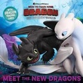 Cover: Meet the New Dragons - Simon Spotlight