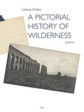 Cover: A Pictorial History of Wilderness - Miel