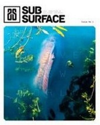 Enlarge image Cover: Subsurface: Brave New World 1 - MPress (Media) Ltd