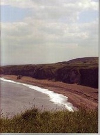 Enlarge image Cover: Nose's Point - Platform Projects