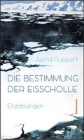 Cover: Die Bestimmung der Eisscholle - Dielmann, Axel