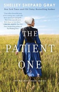 Enlarge image Cover: The Patient One: Volume 1 - Gallery
