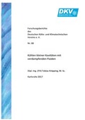 Cover: K&uuml;hlen kleiner Kavit&auml;ten mit verdampfenden Fluiden - Deutscher K&auml;lte- u. Klimatechn. Ver.
