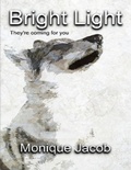 Cover: Bright Light - They're Coming for You - Lulu.com
