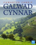 Cover: Chwarter Canrif Galwad Cynnar - Gwasg Carreg Gwalch