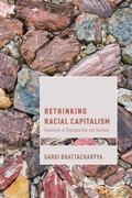 Cover: Rethinking Racial Capitalism - Rowman & Littlefield Publishers