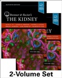 Bild: Brenner and Rector's The Kidney E-Book - Elsevier