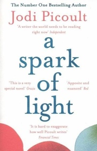 Abbildung von: A Spark of Light - Hodder Paperback