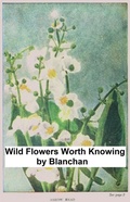 Cover: Wild Flowers Worth Knowing - Seltzer Books