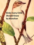 Cover: Birds Every Child Should Know - Seltzer Books