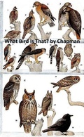 Cover: What Bird is That? - Seltzer Books