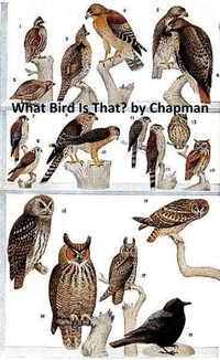 Enlarge image Cover: What Bird is That? - Seltzer Books