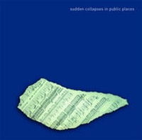 Enlarge image Cover: Sudden Collapses in Public Places - New Writing North