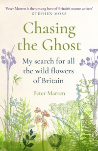 Enlarge image Cover: Chasing the Ghost - Vintage