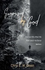 Cover: Surprised by God - Wipf & Stock Publishers