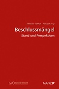 Cover: Beschlussm&auml;ngel Stand und Perspektiven - Manz
