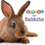 Cover: Caring for Rabbits - Raintree
