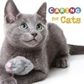 Cover: Caring for Cats - Raintree
