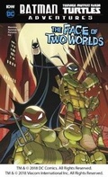 Cover: Batman / Teenage Mutant Ninja Turtles Adventures Pack A of 6 - Raintree