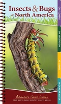 Cover: Insects & Bugs of North America - Adventure Publications, Incorporated