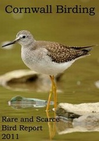 Enlarge image Cover: Cornwall Birding Rare and Scarce Bird Report 2011 - Cornwall Birding Association