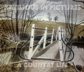 Cover: Ravilious in Pictures: Country Life 3 - The Mainstone Press